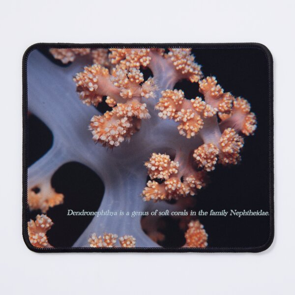 Item preview, Soft coral designed and sold by tank200bar.