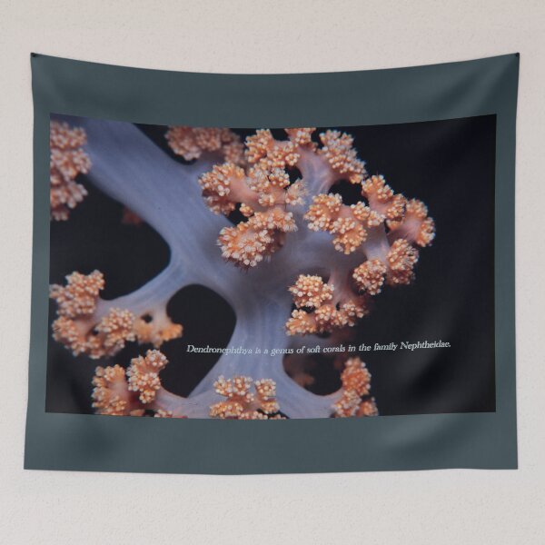 Item preview, Soft coral designed and sold by tank200bar.