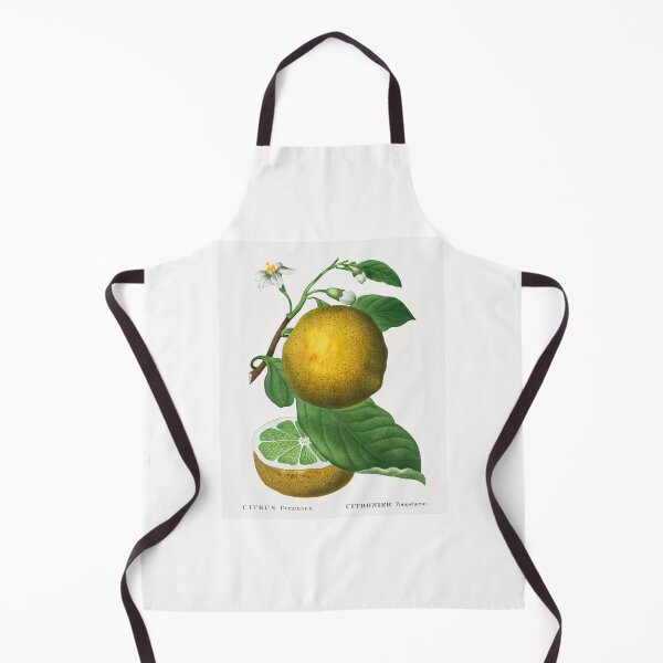 Item preview, Grapefruit Fruit Vintage Botanical Illustration designed and sold by TheRetroArtRoom.
