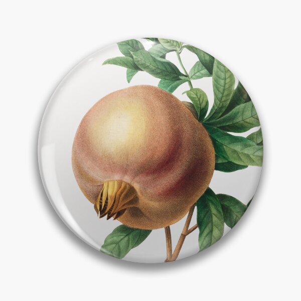 Item preview, Pomegranate Fruit Vintage Botanical Illustration designed and sold by TheRetroArtRoom.