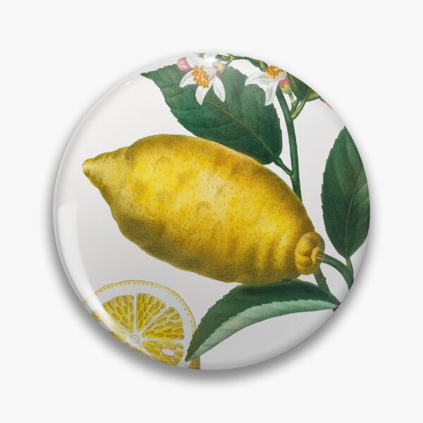 Item preview, Lemons Fruit Vintage Botanical Illustration designed and sold by TheRetroArtRoom.
