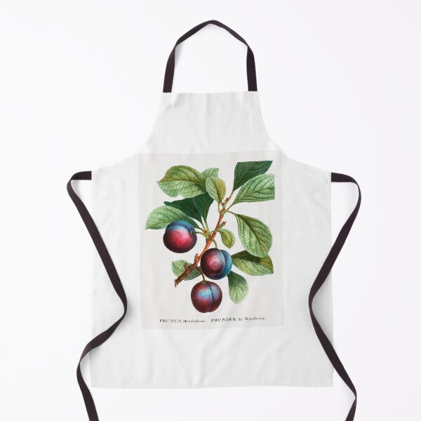 Item preview, Plums Fruit Vintage Botanical Illustration designed and sold by TheRetroArtRoom.