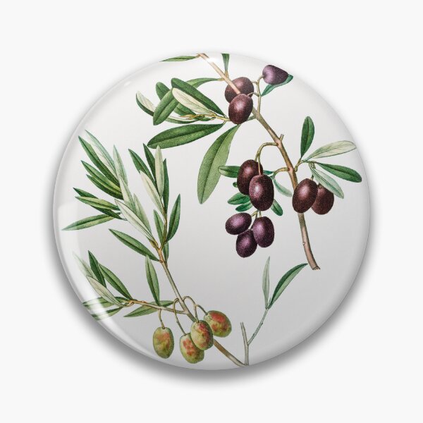 Item preview, Olives Fruit Vintage Botanical Illustration designed and sold by TheRetroArtRoom.