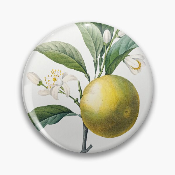 Item preview, Orange Fruit Vintage Botanical Illustration designed and sold by TheRetroArtRoom.