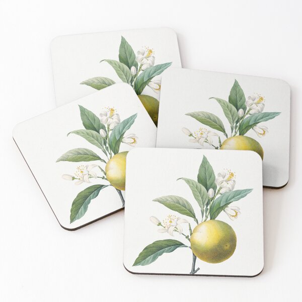 Item preview, Orange Fruit Vintage Botanical Illustration designed and sold by TheRetroArtRoom.