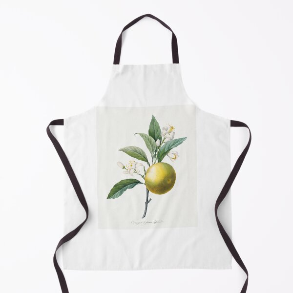 Item preview, Orange Fruit Vintage Botanical Illustration designed and sold by TheRetroArtRoom.