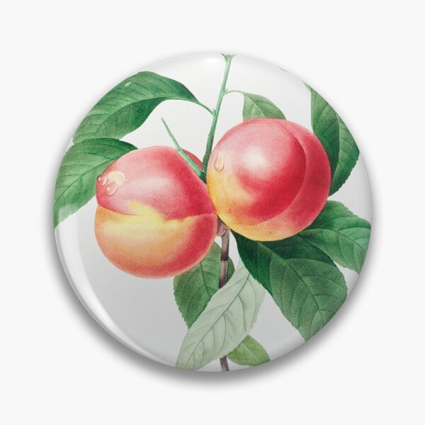 Item preview, Peaches Fruit Vintage Botanical Illustration designed and sold by TheRetroArtRoom.