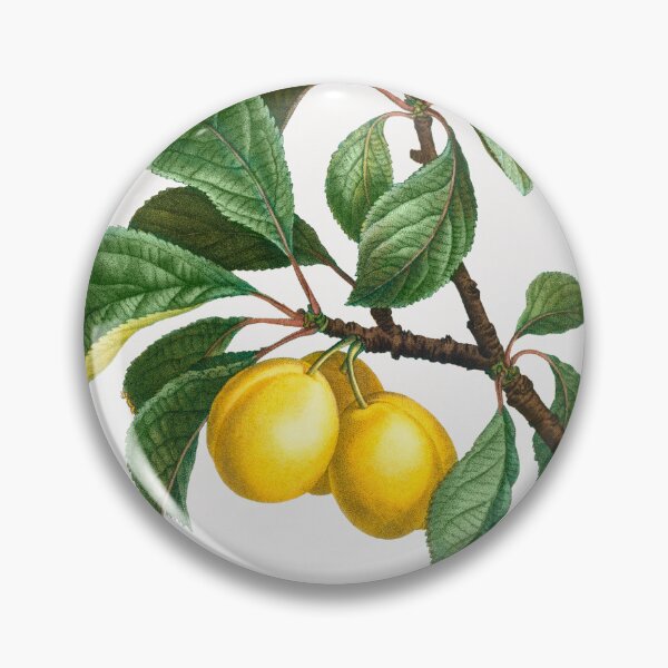 Item preview, Plums Fruit Vintage Botanical Illustration designed and sold by TheRetroArtRoom.