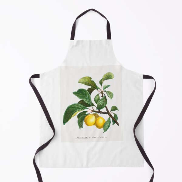 Item preview, Plums Fruit Vintage Botanical Illustration designed and sold by TheRetroArtRoom.