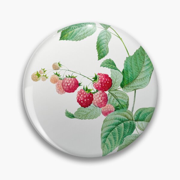Item preview, Raspberry Fruit Vintage Botanical Illustration designed and sold by TheRetroArtRoom.