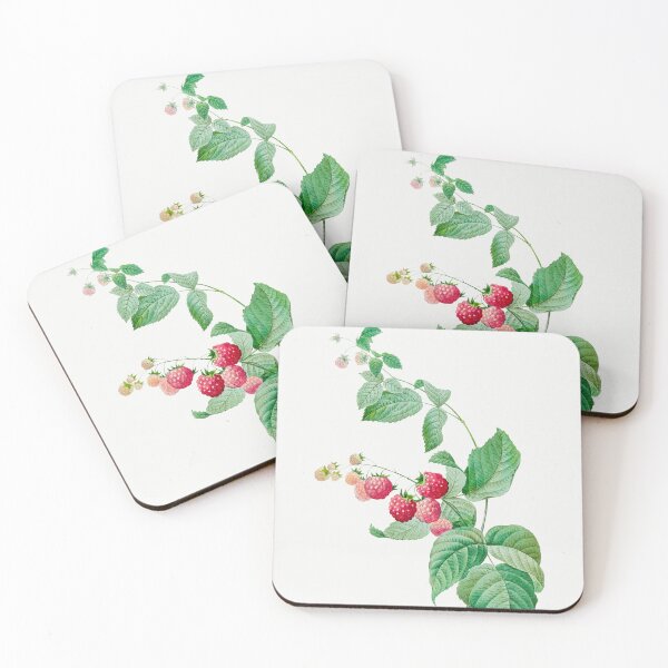 Aperçu de l'œuvre Illustration botanique vintage de framboises créée et vendue par TheRetroArtRoom.