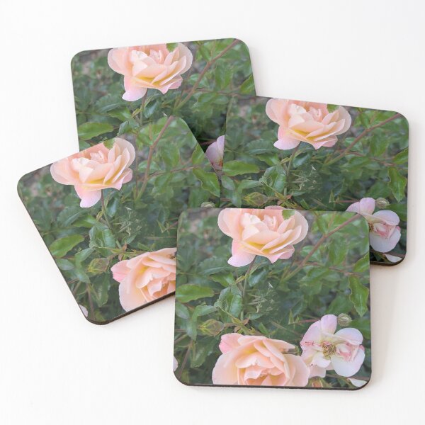Item preview, Beautiful peach apricot roses blooming in a garden bush designed and sold by gaohao1.