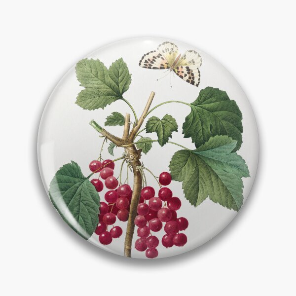 Item preview, Red Currant Fruit Vintage Botanical Illustration designed and sold by TheRetroArtRoom.