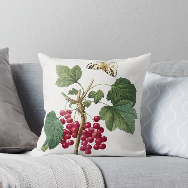 Item preview, Red Currant Fruit Vintage Botanical Illustration designed and sold by TheRetroArtRoom.