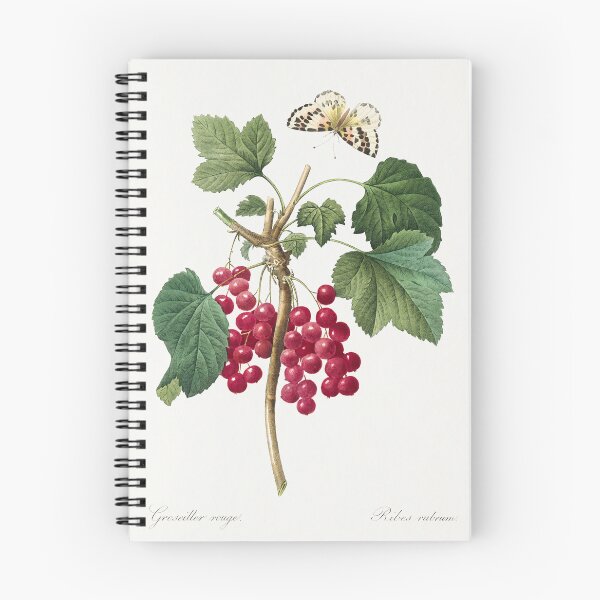 Item preview, Red Currant Fruit Vintage Botanical Illustration designed and sold by TheRetroArtRoom.