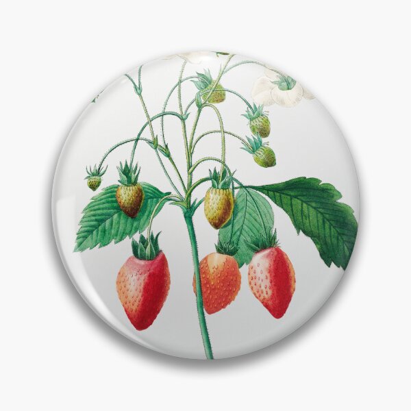 Item preview, Strawberry Fruit Vintage Botanical Illustration designed and sold by TheRetroArtRoom.