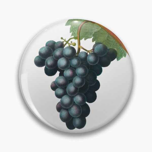 Item preview, Grapes Fruit Vintage Botanical Illustration designed and sold by TheRetroArtRoom.