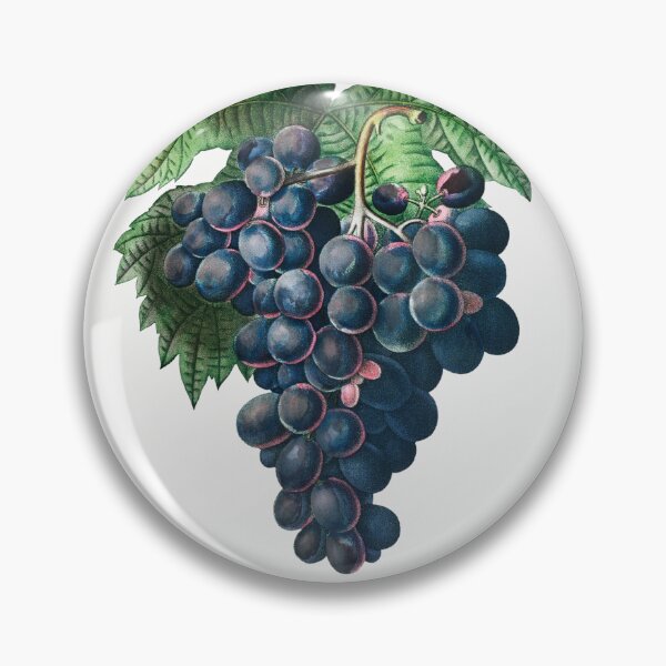 Item preview, Grapes Fruit Vintage Botanical Illustration designed and sold by TheRetroArtRoom.