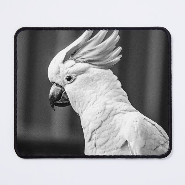 Item preview, Cockatoo Black & White Photo designed and sold by hazywares.