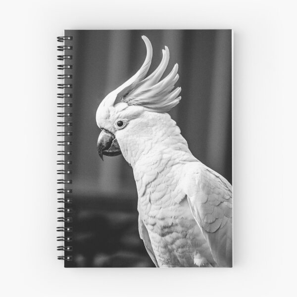 Item preview, Cockatoo Black & White Photo designed and sold by hazywares.