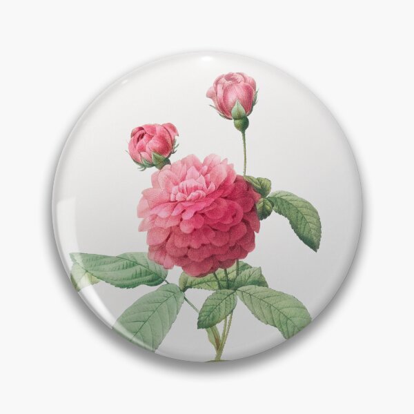 Item preview, Agatha Rose Flowers Vintage Botanical Illustration designed and sold by TheRetroArtRoom.