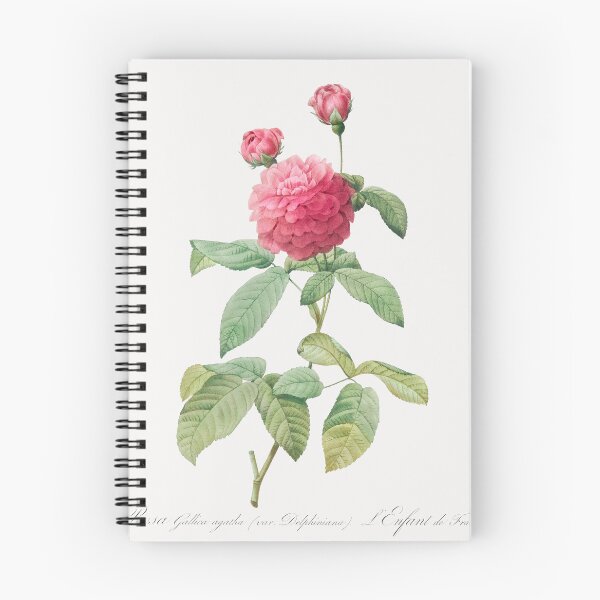Item preview, Agatha Rose Flowers Vintage Botanical Illustration designed and sold by TheRetroArtRoom.