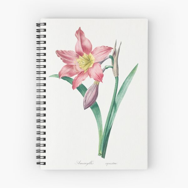 Item preview, St. Joseph's Lily Flowers Vintage Botanical Illustration designed and sold by TheRetroArtRoom.
