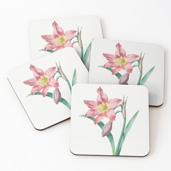 Item preview, St. Joseph's Lily Flowers Vintage Botanical Illustration designed and sold by TheRetroArtRoom.