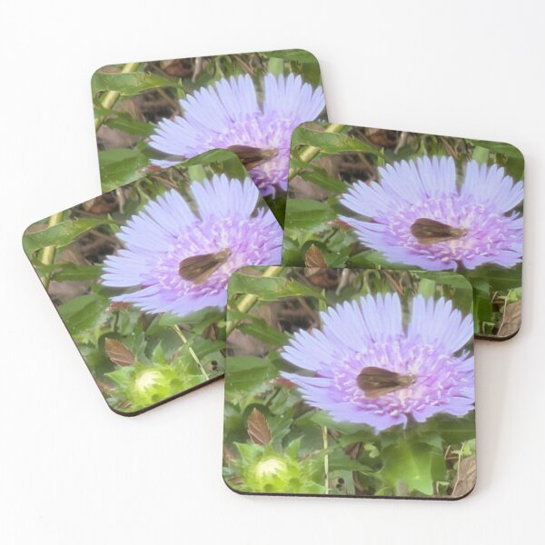 Item preview, Sachem Skipper on Stokes Aster Bloom. designed and sold by Pearls1.