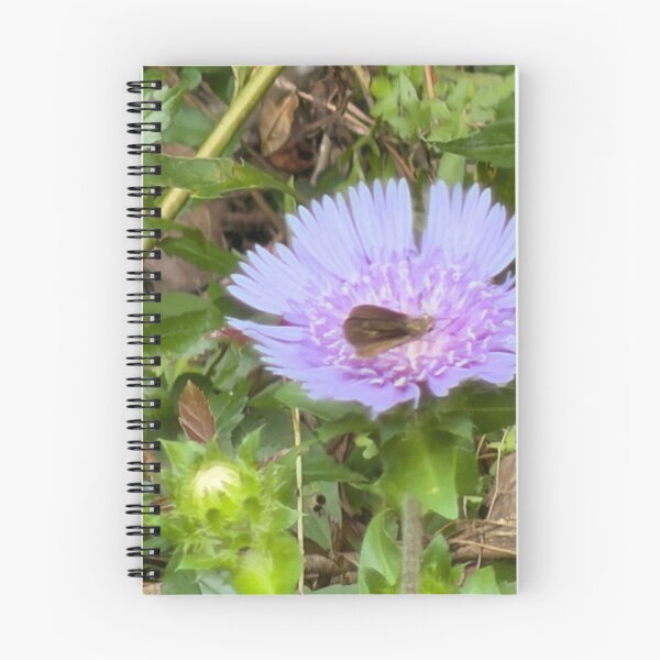 Item preview, Sachem Skipper on Stokes Aster Bloom. designed and sold by Pearls1.