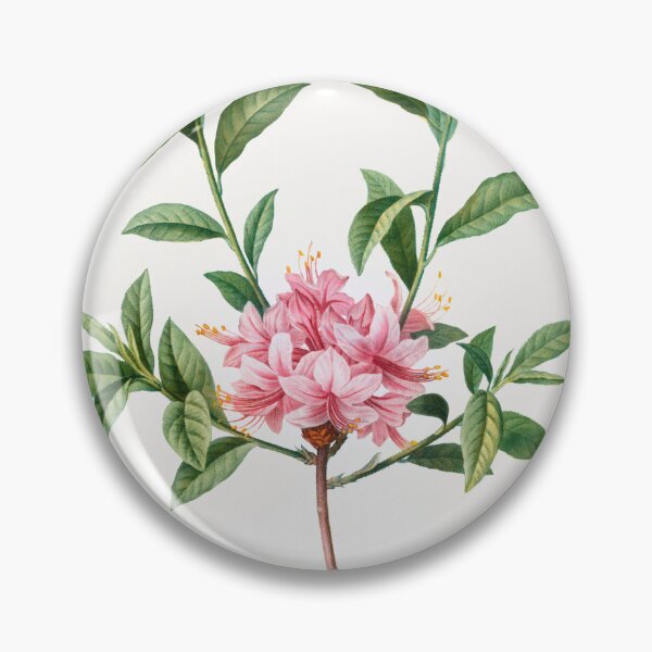 Item preview, Azalea Rosea Flowers Vintage Botanical Illustration designed and sold by TheRetroArtRoom.