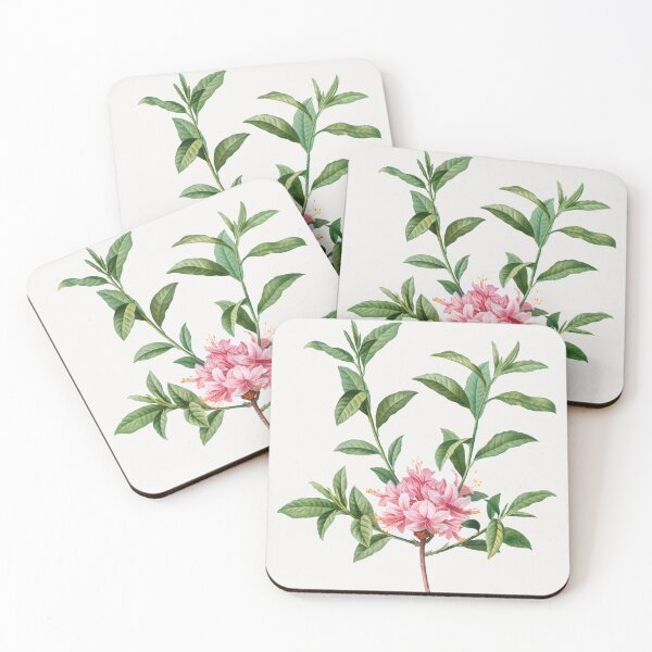 Item preview, Azalea Rosea Flowers Vintage Botanical Illustration designed and sold by TheRetroArtRoom.