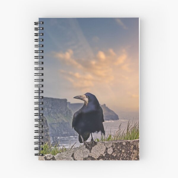 Item preview, Rook at the Cliffs of Moher designed and sold by Alex Preiss.