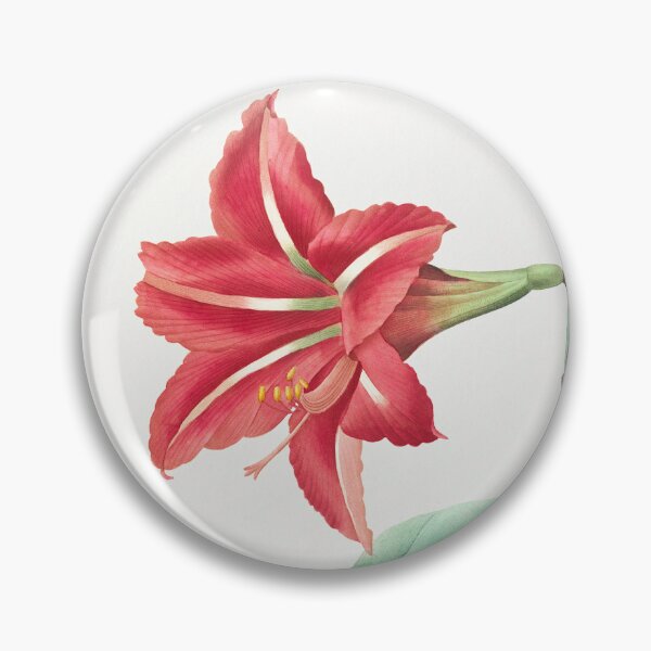 Item preview, Brazilian Amaryllis Flowers Vintage Botanical Illustration designed and sold by TheRetroArtRoom.