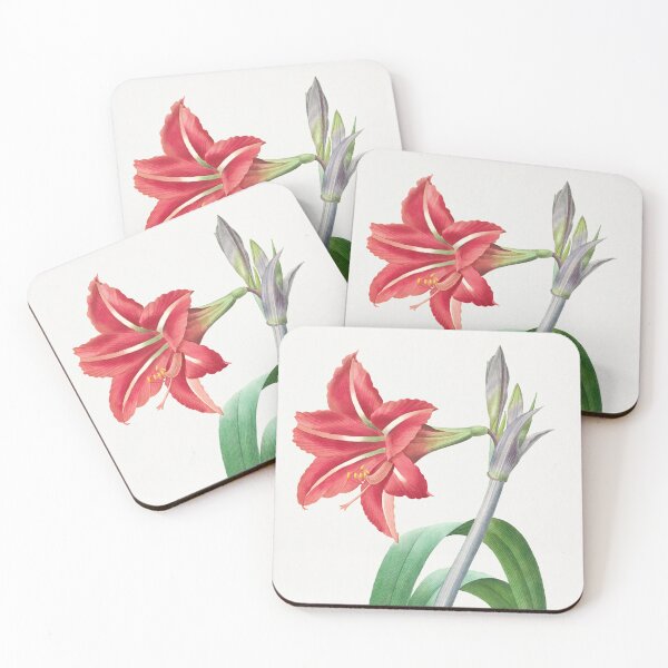 Item preview, Brazilian Amaryllis Flowers Vintage Botanical Illustration designed and sold by TheRetroArtRoom.