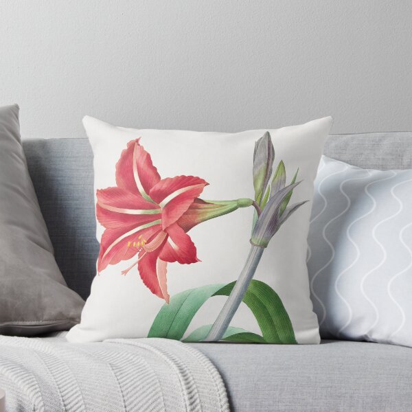 Item preview, Brazilian Amaryllis Flowers Vintage Botanical Illustration designed and sold by TheRetroArtRoom.