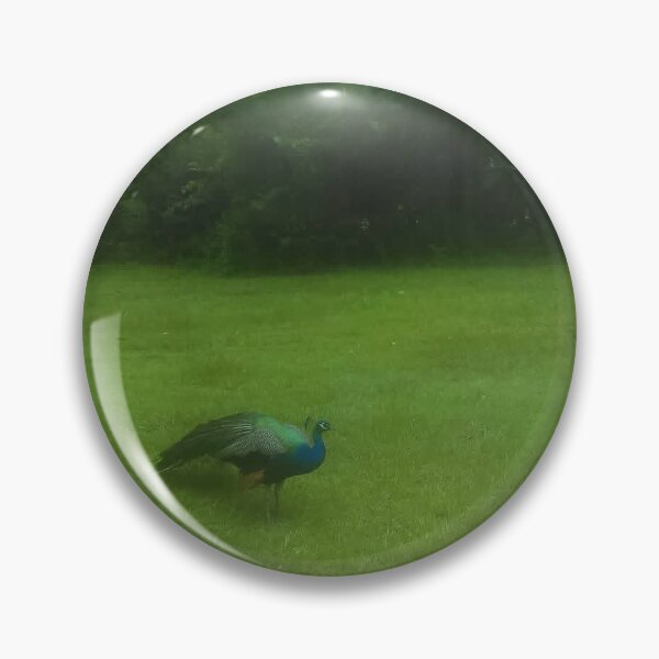 Item preview, Peacock Walking with Tail Folded. designed and sold by Pearls1.