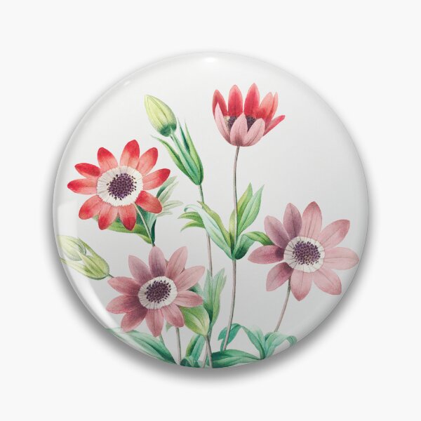 Item preview, Broad Leaved Anemone Flowers Vintage Botanical Illustration designed and sold by TheRetroArtRoom.