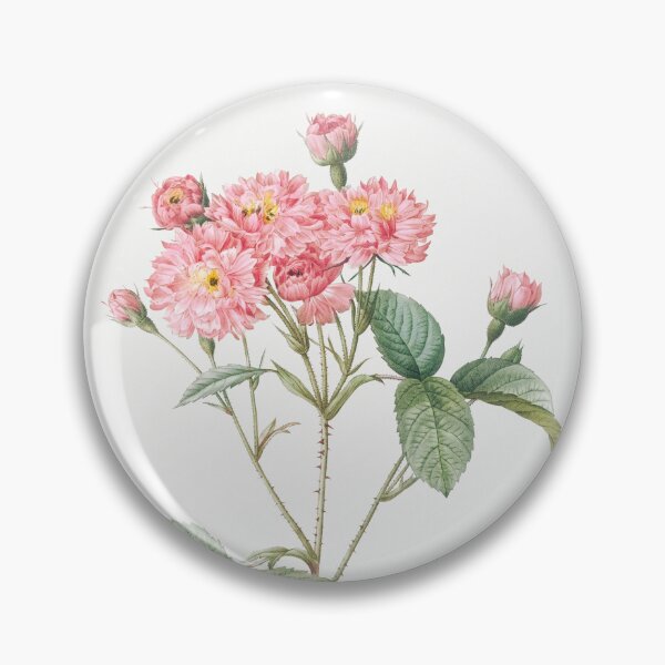 Item preview, Carnation-petalled Cabbage Rose Flowers Vintage Botanical Illustration designed and sold by TheRetroArtRoom.