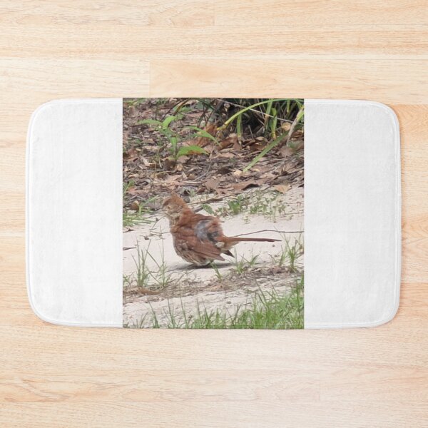 Item preview, Brown Thrasher Foraging in Leaf Litter. designed and sold by Pearls1.
