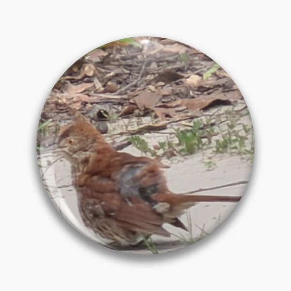 Item preview, Brown Thrasher Foraging in Leaf Litter. designed and sold by Pearls1.