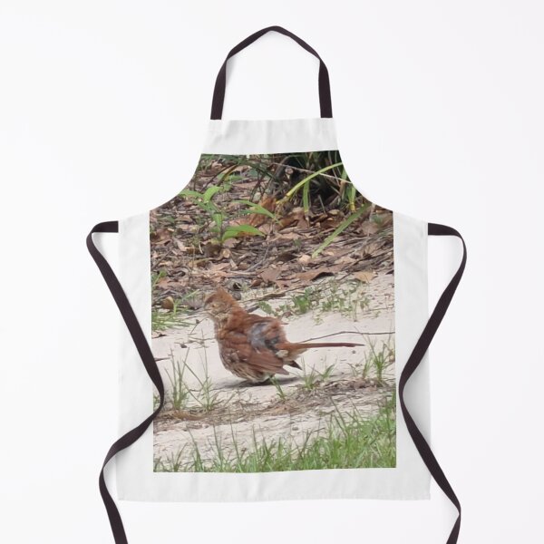 Item preview, Brown Thrasher Foraging in Leaf Litter. designed and sold by Pearls1.