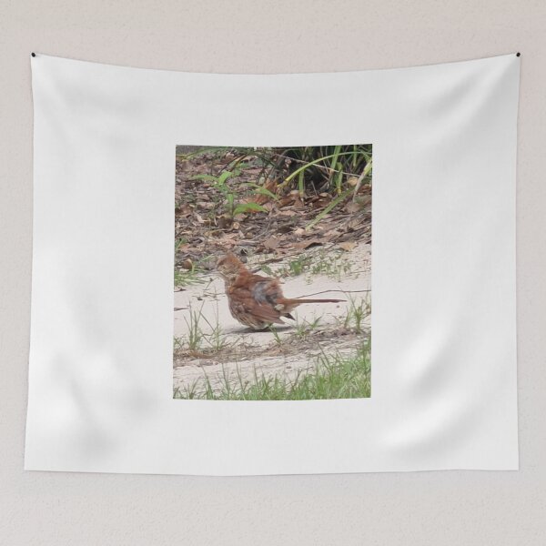 Item preview, Brown Thrasher Foraging in Leaf Litter. designed and sold by Pearls1.