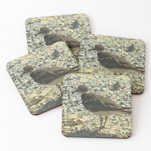 Item preview, Killdeer standing amongst rocks designed and sold by Pearls1.