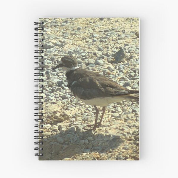 Item preview, Killdeer standing amongst rocks designed and sold by Pearls1.
