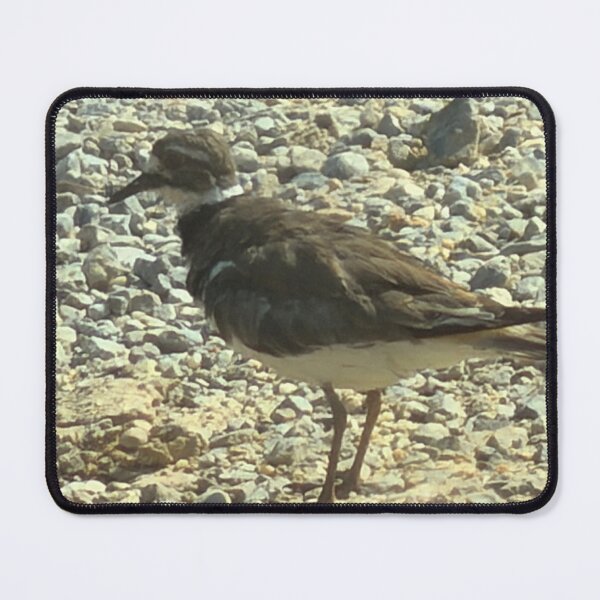 Item preview, Killdeer standing amongst rocks designed and sold by Pearls1.