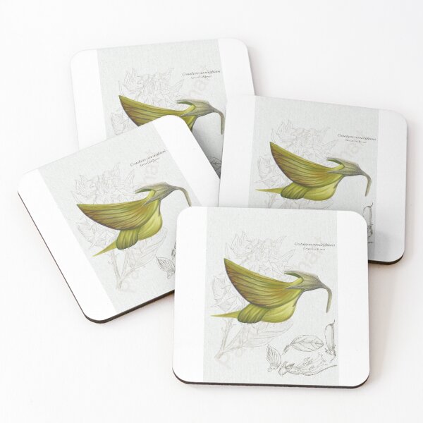 Item preview, Green bird flower designed and sold by PaytenWishart.