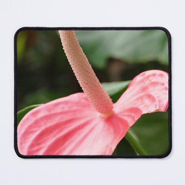 Item preview, Pink Anthurium designed and sold by jaynerushton.