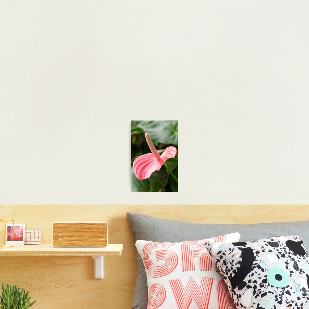 Item preview, Photographic Print designed and sold by jaynerushton.