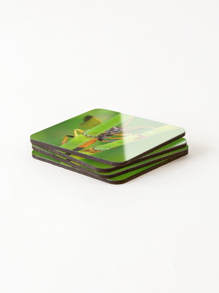 Thumbnail 4 of 5, Coasters (Set of 4), Behind Bars designed and sold by RalphGoldsmith.